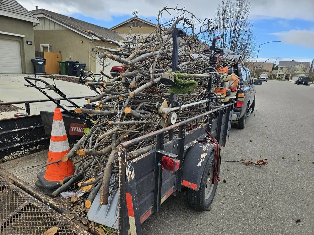 Reliable residential landscaping in Tracy, CA - Lawn and Yard Solutions