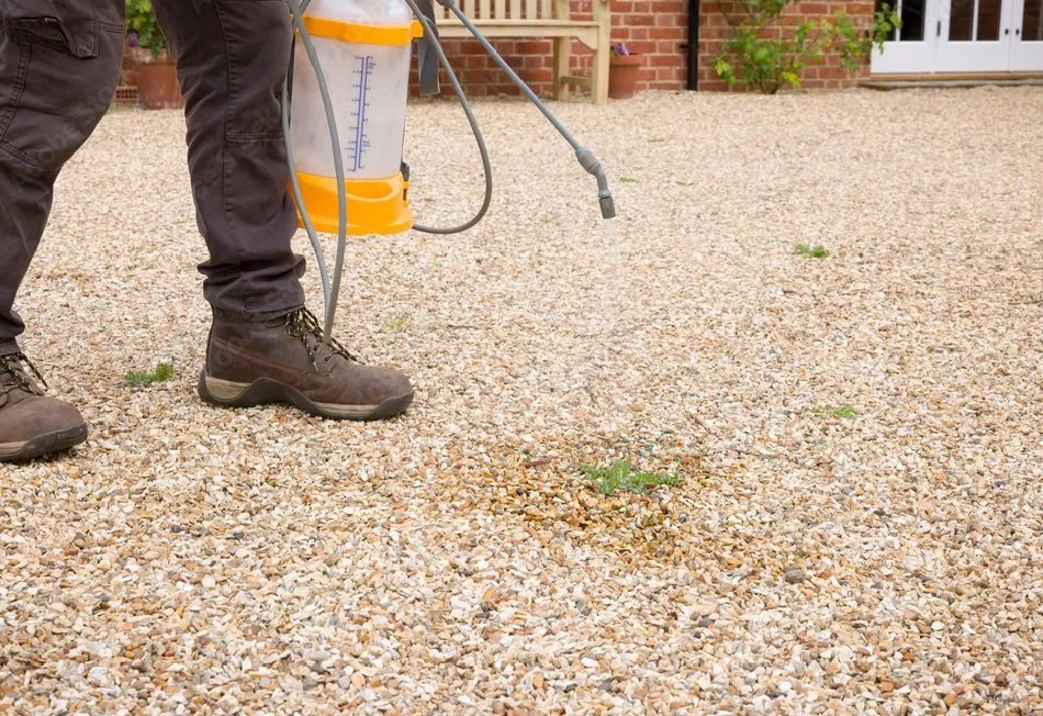 Local yard maintenance experts serving Tracy, CA - Lawn and Yard Solutions