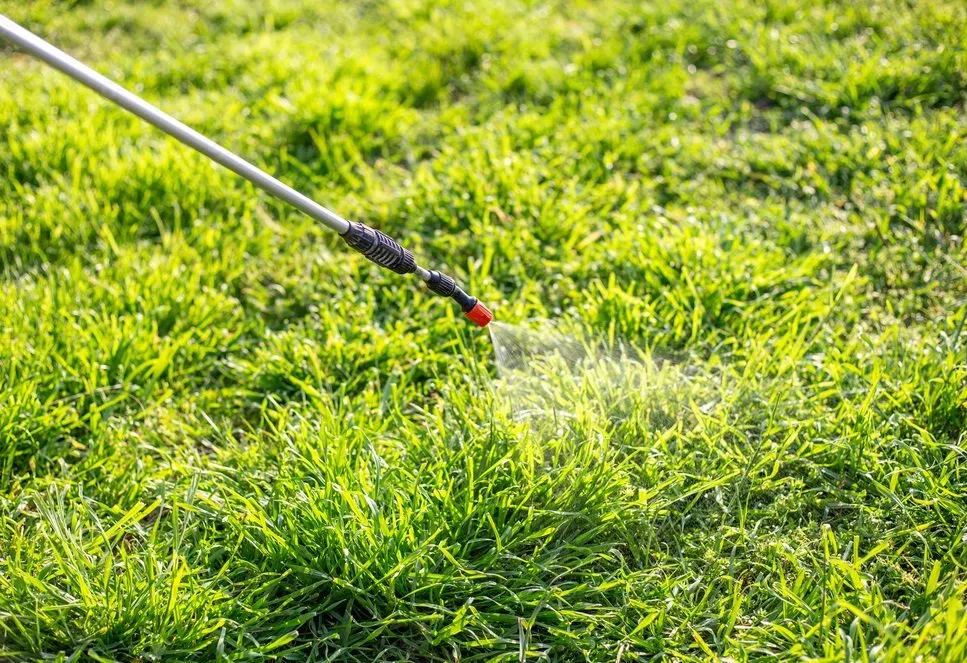 Reliable garden landscaping with custom design across Tracy, CA - Lawn and Yard Solutions