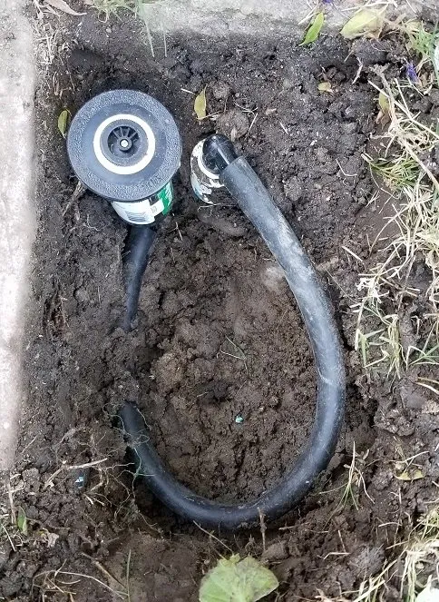 Trusted yard cleanup service for outdoor upgrades in Tracy, CA by Lawn and Yard Solutions