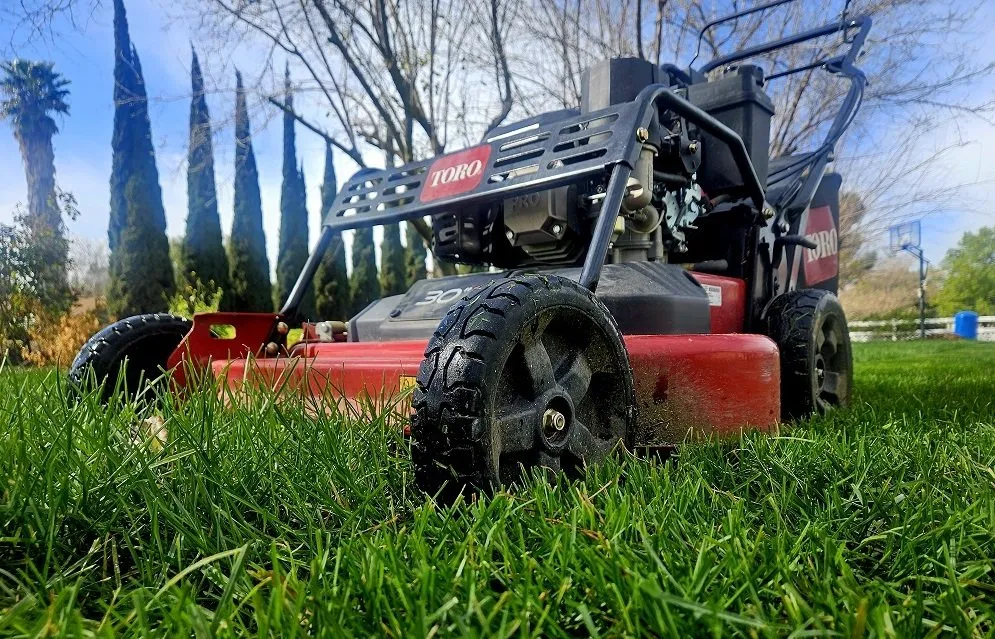 Custom landscape installation in Tracy, CA - Lawn and Yard Solutions