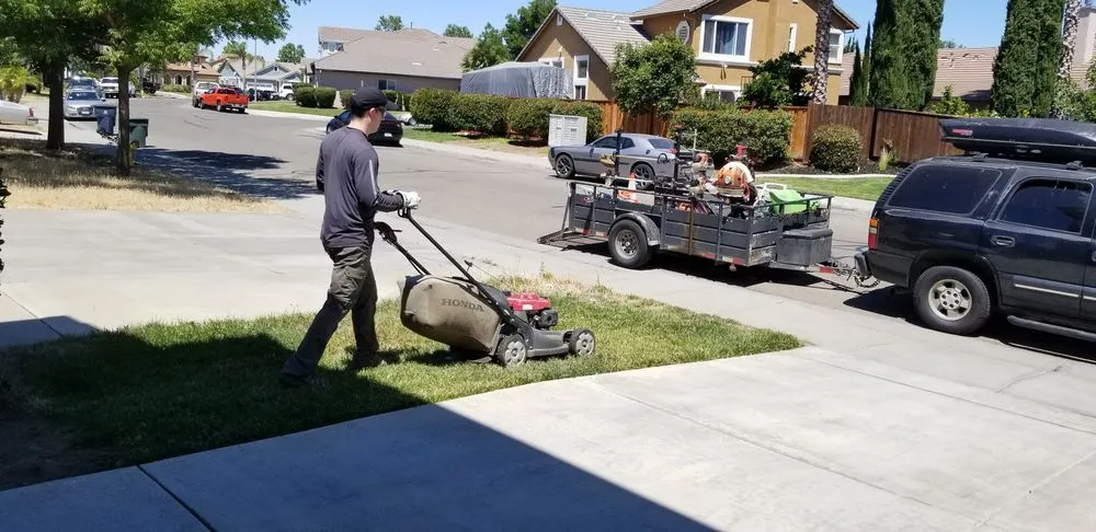 Expert residential landscaping near you across Tracy, CA - Lawn and Yard Solutions