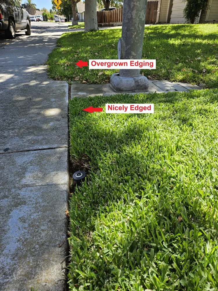 Custom lawn care service for beautiful yards in Tracy, CA by Lawn and Yard Solutions