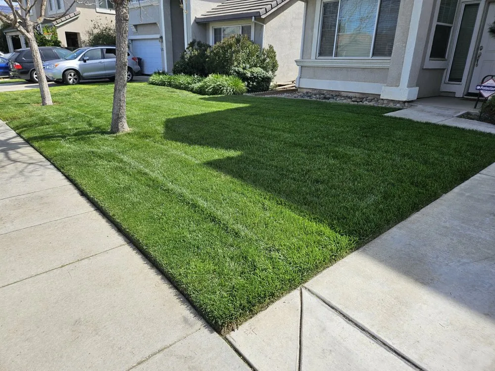 Trusted landscape installation for residential properties across Tracy, CA - Lawn and Yard Solutions