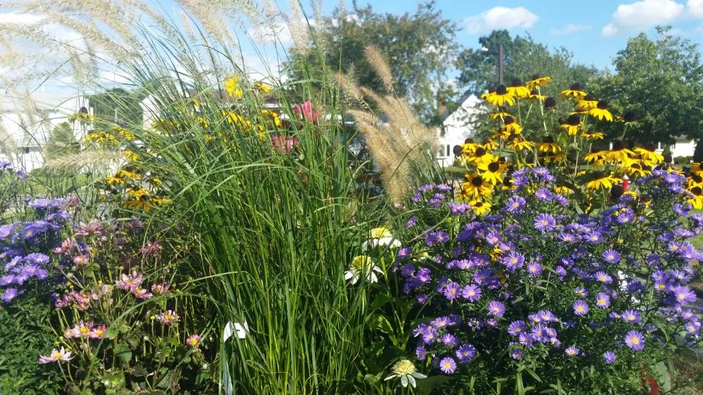 Professional landscape installation in Farmingdale, NY - Lawn Angels Landscaping LLC