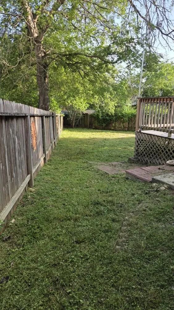 Top-rated yard cleanup service for homes across San Marcos, TX - Lawn Angels