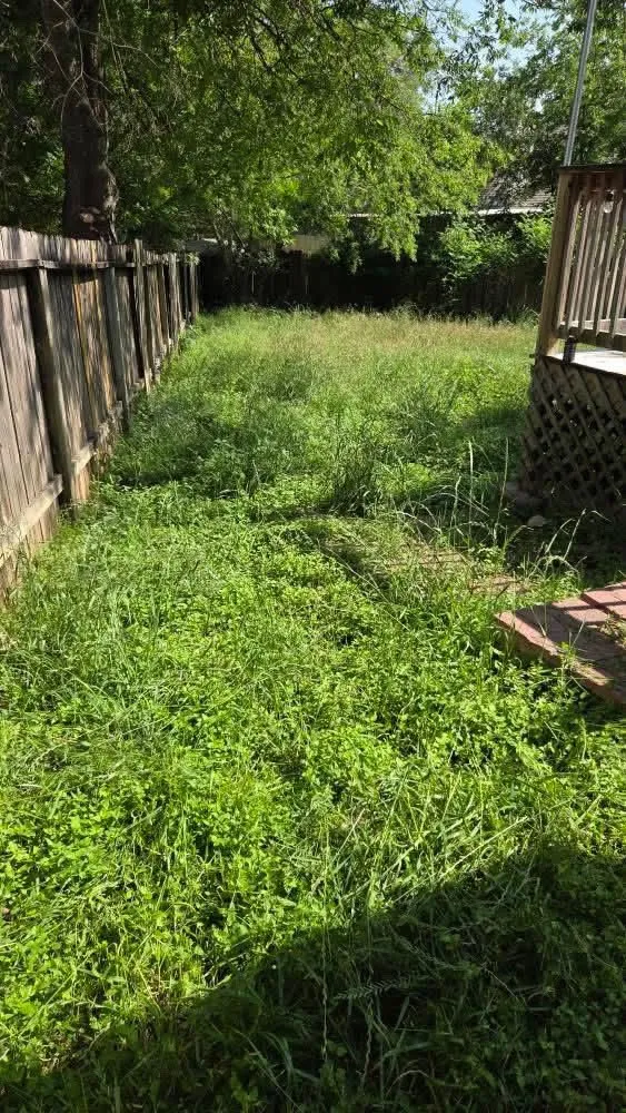 Top-rated garden landscaping for homes across San Marcos, TX - Lawn Angels