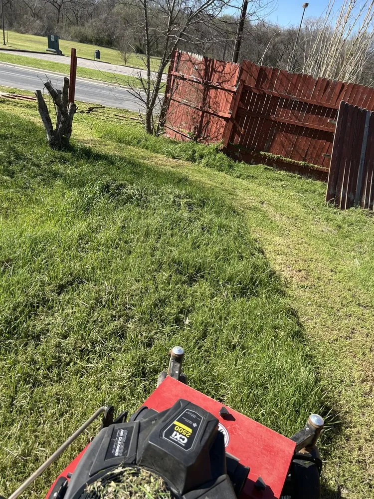 Professional yard cleanup service with custom design in Midlothian, TX by Lawn Army