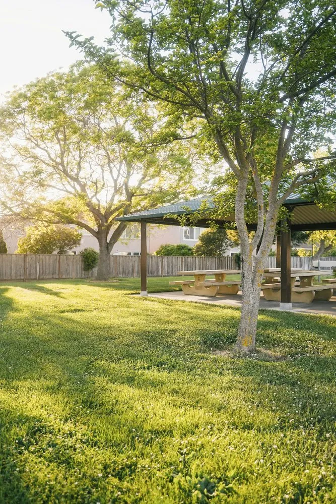 Affordable residential landscaping for beautiful yards in Midlothian, TX by Lawn Army