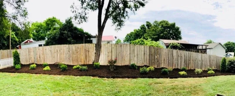 Reliable yard cleanup service for year-round maintenance in Asheville, NC by Lawn Asheville