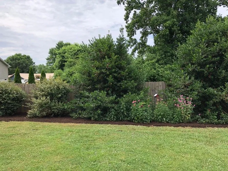 Affordable outdoor landscaping experts serving Asheville, NC - Lawn Asheville