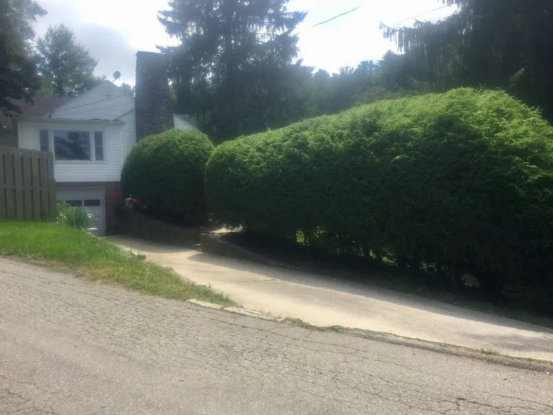 Local landscape installation experts serving Asheville, NC - Lawn Asheville