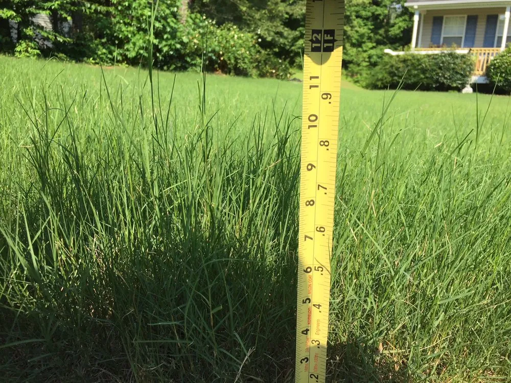 Reliable landscaping services in Atlanta, GA - Lawn