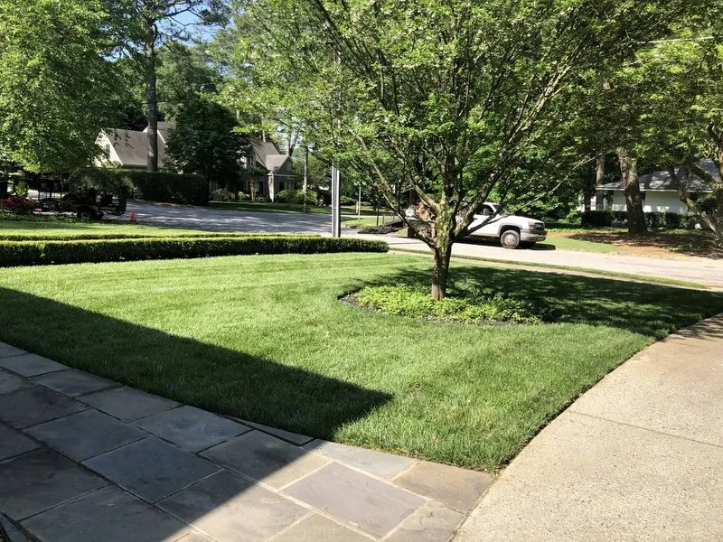 Local landscape design in Atlanta, GA - Lawn