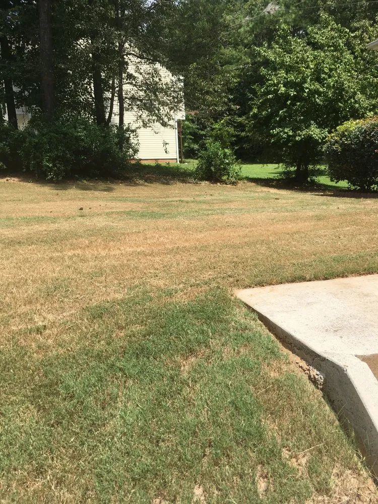 Local landscaping services for beautiful yards across Atlanta, GA - Lawn