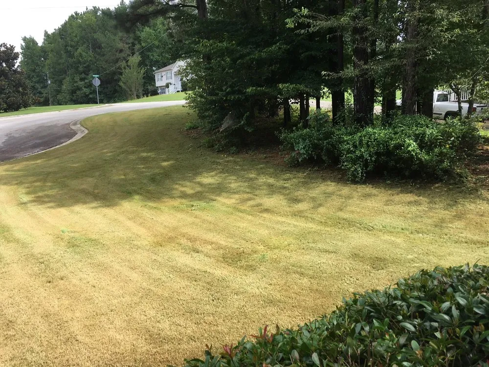 Affordable lawn care service experts serving Atlanta, GA - Lawn