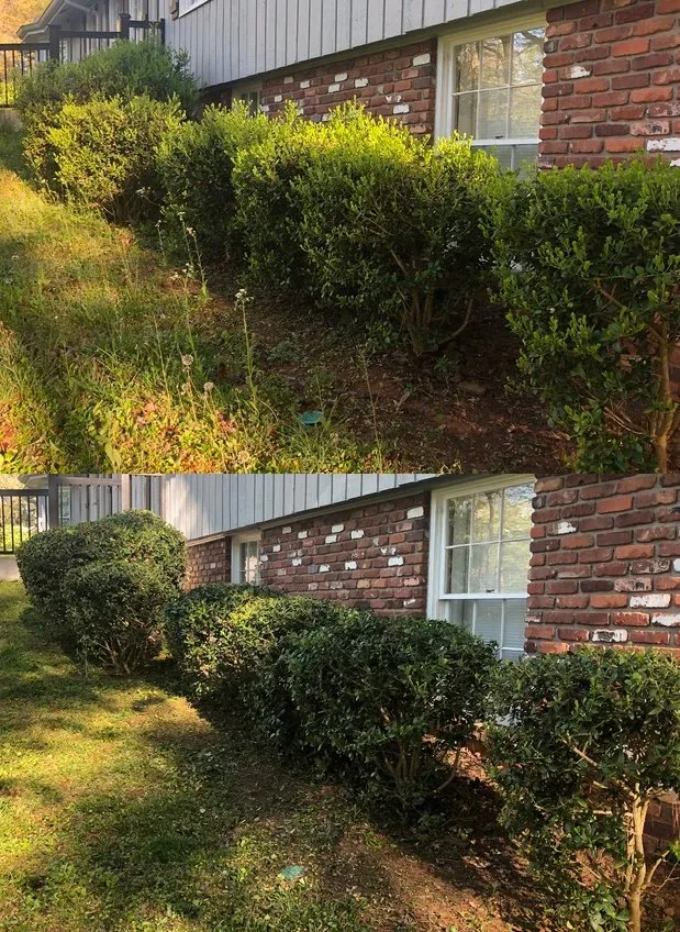 Custom yard maintenance for homes across Atlanta, GA - Lawn