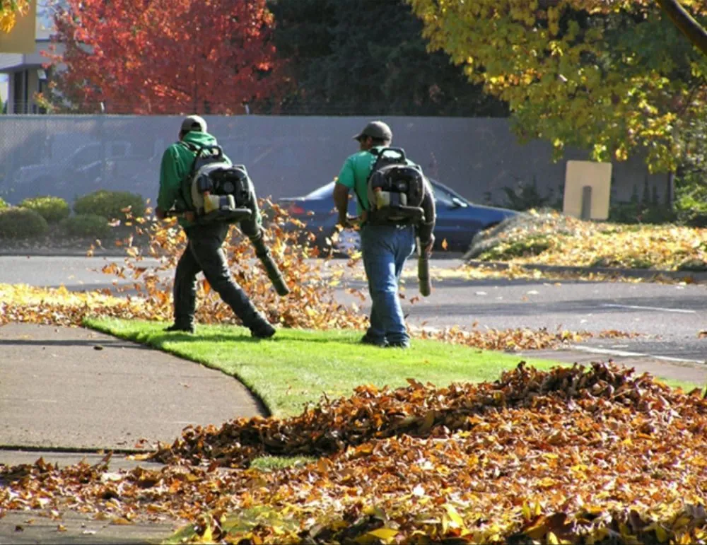 Affordable yard cleanup service in Ann Arbor, MI by Lawn B Gone lawn service