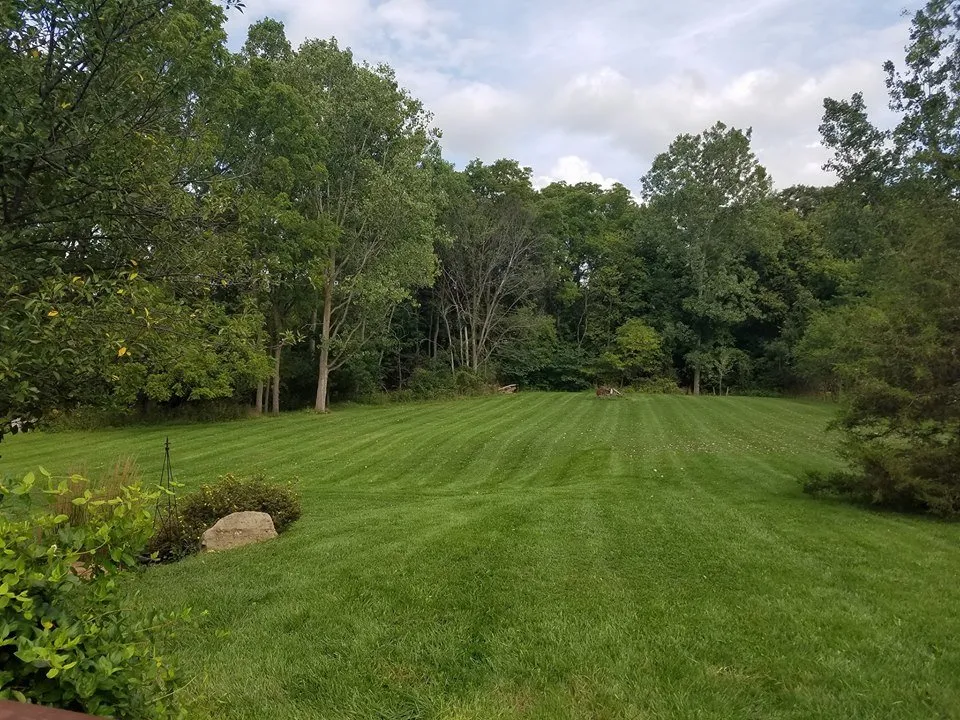Expert landscape installation for homes in Ann Arbor, MI by Lawn B Gone lawn service