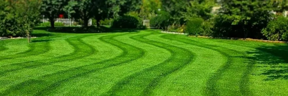 Trusted landscaping services near you across Ann Arbor, MI - Lawn B Gone lawn service