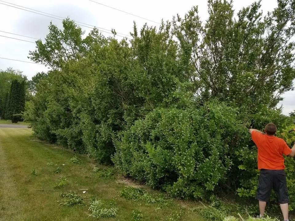 Professional outdoor landscaping in Ann Arbor, MI - Lawn B Gone lawn service
