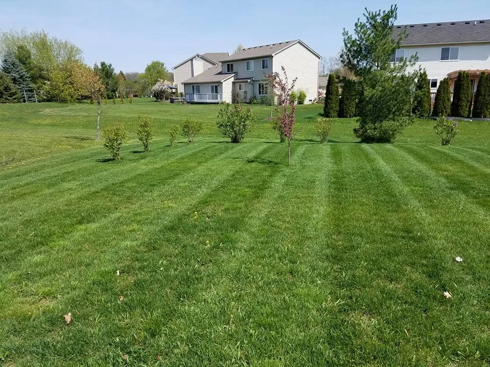 Affordable yard cleanup service in Ann Arbor, MI by Lawn B Gone lawn service