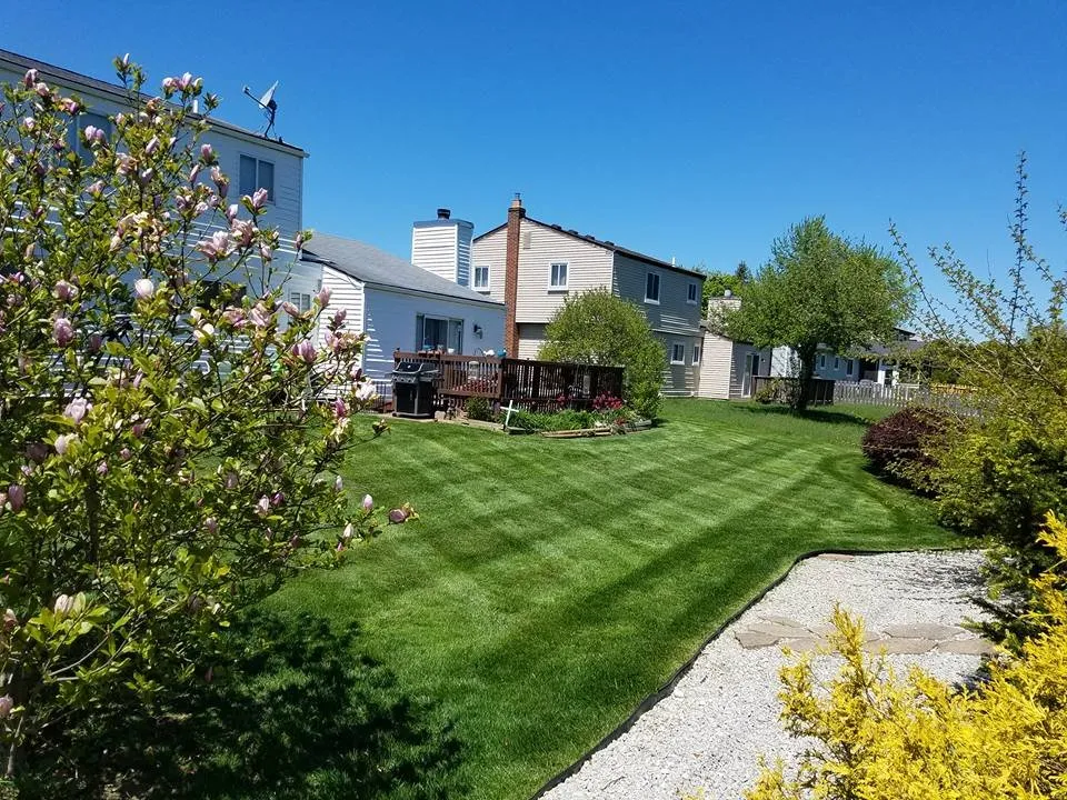 Professional landscaping services in Ann Arbor, MI by Lawn B Gone lawn service