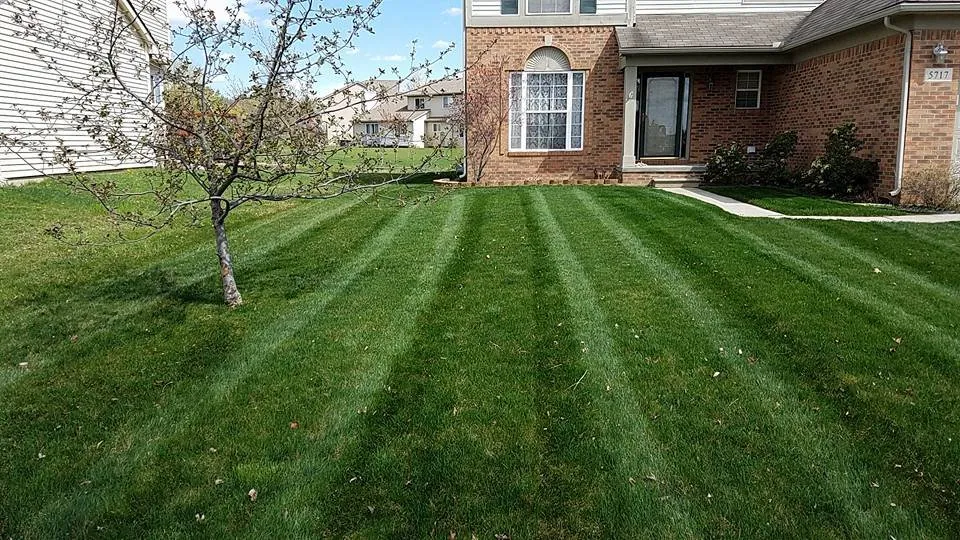 Reliable yard maintenance in Ann Arbor, MI by Lawn B Gone lawn service