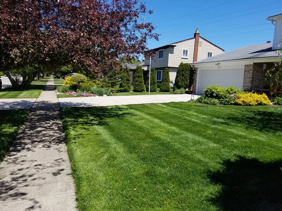 Custom yard cleanup service in Ann Arbor, MI by Lawn B Gone lawn service