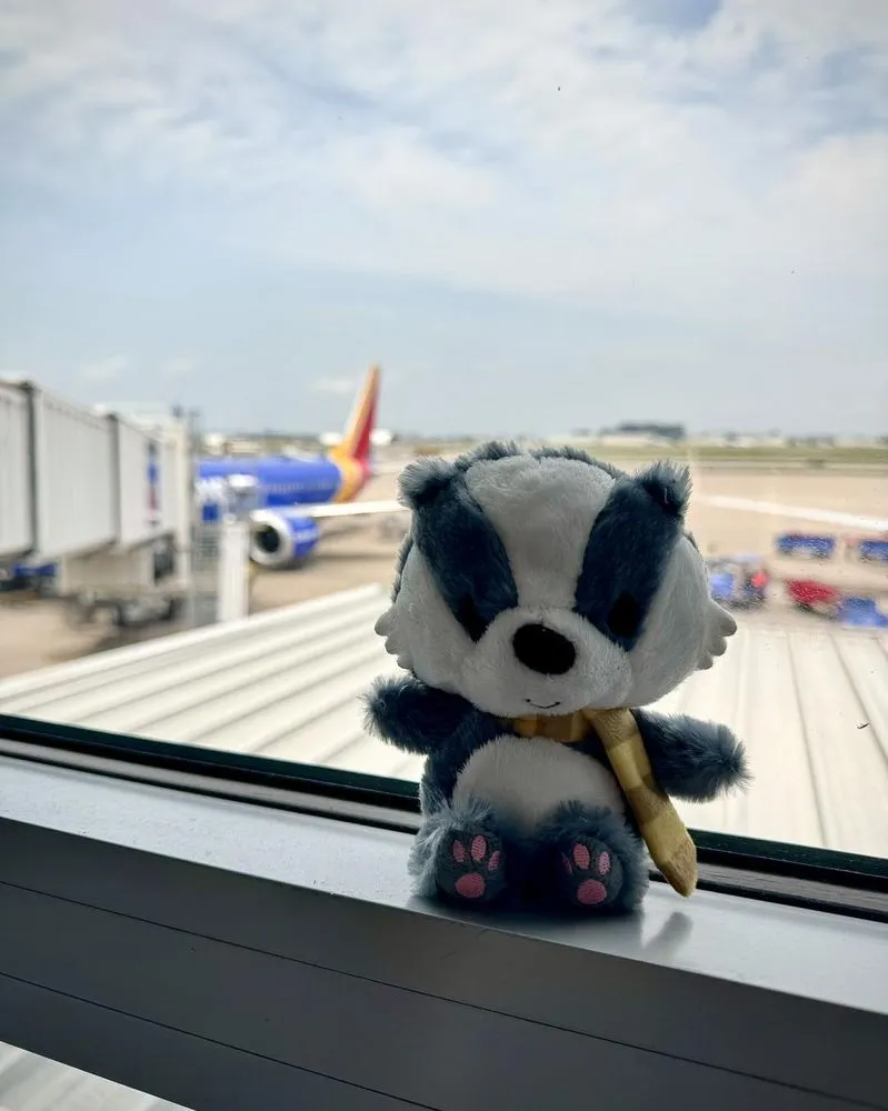 Reliable landscape design in Jerseyville, IL by Lawn Badger