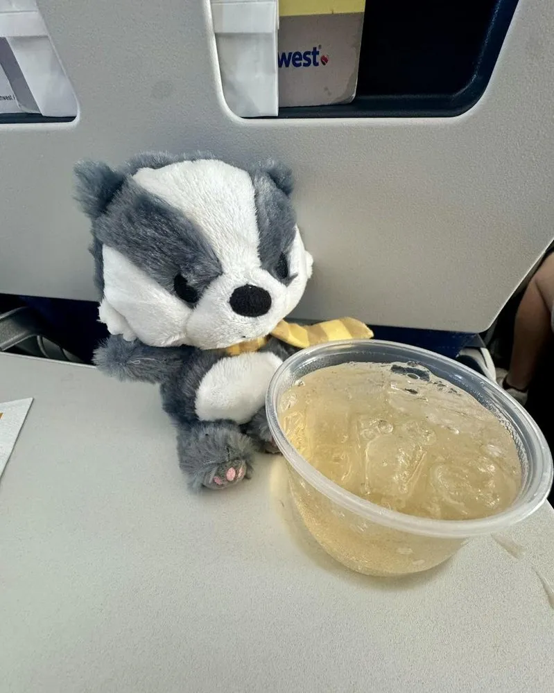 Custom residential landscaping in Jerseyville, IL - Lawn Badger