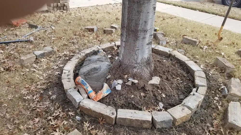 Professional yard maintenance experts serving Fort Worth, TX - Lawn Bandits