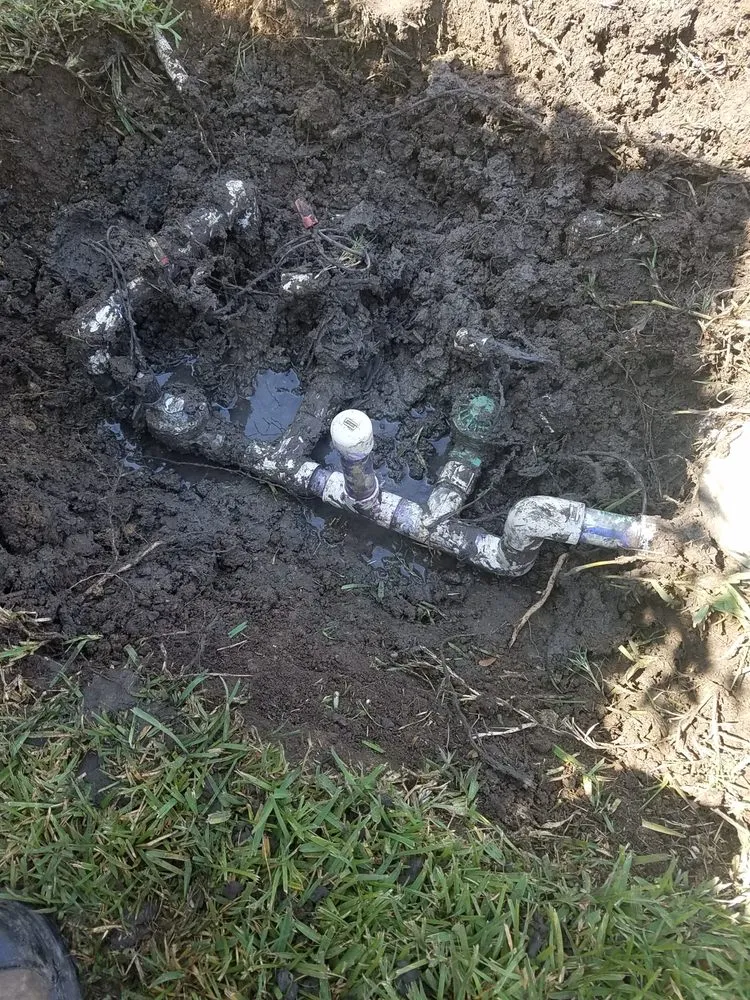 Top-rated yard maintenance for year-round maintenance across Fort Worth, TX - Lawn Bandits