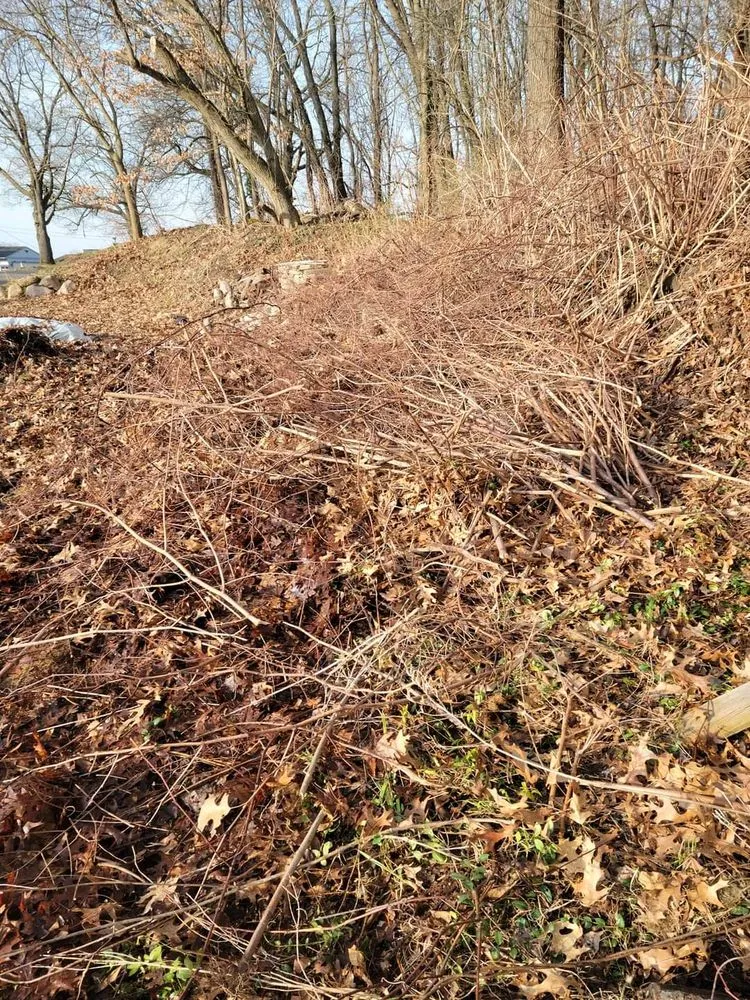 Affordable landscape design in Vicksburg, MI - Lawn Bandits