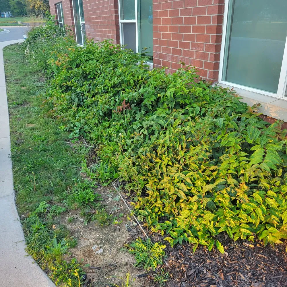 Expert landscape installation in Vicksburg, MI - Lawn Bandits