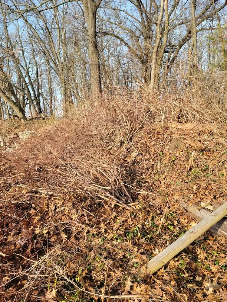 Trusted lawn mowing service in Vicksburg, MI - Lawn Bandits