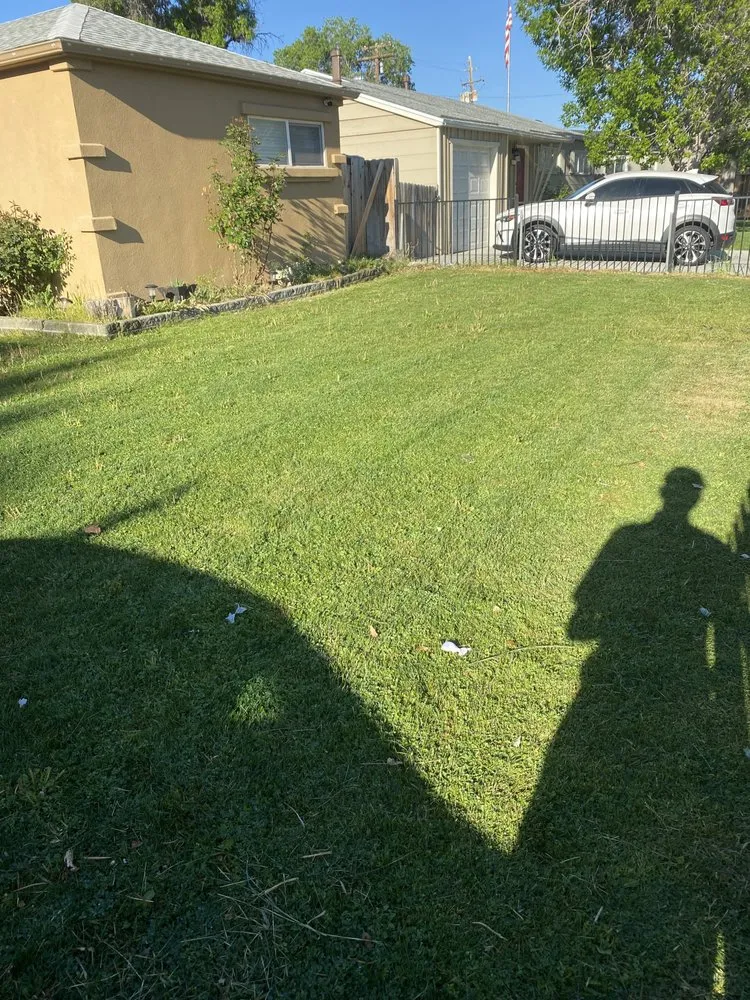 Professional yard maintenance with custom design across Sparks, NV - Lawn Barber AJ