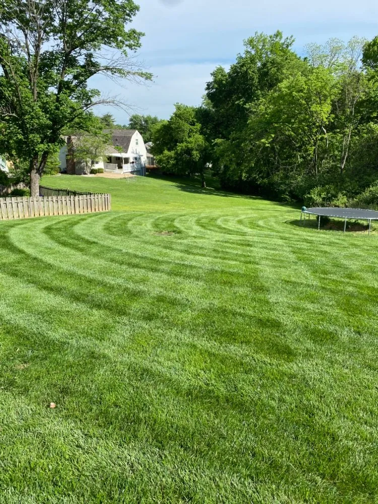 Trusted yard cleanup service for outdoor upgrades in imperial, MO by Lawn Barber STL