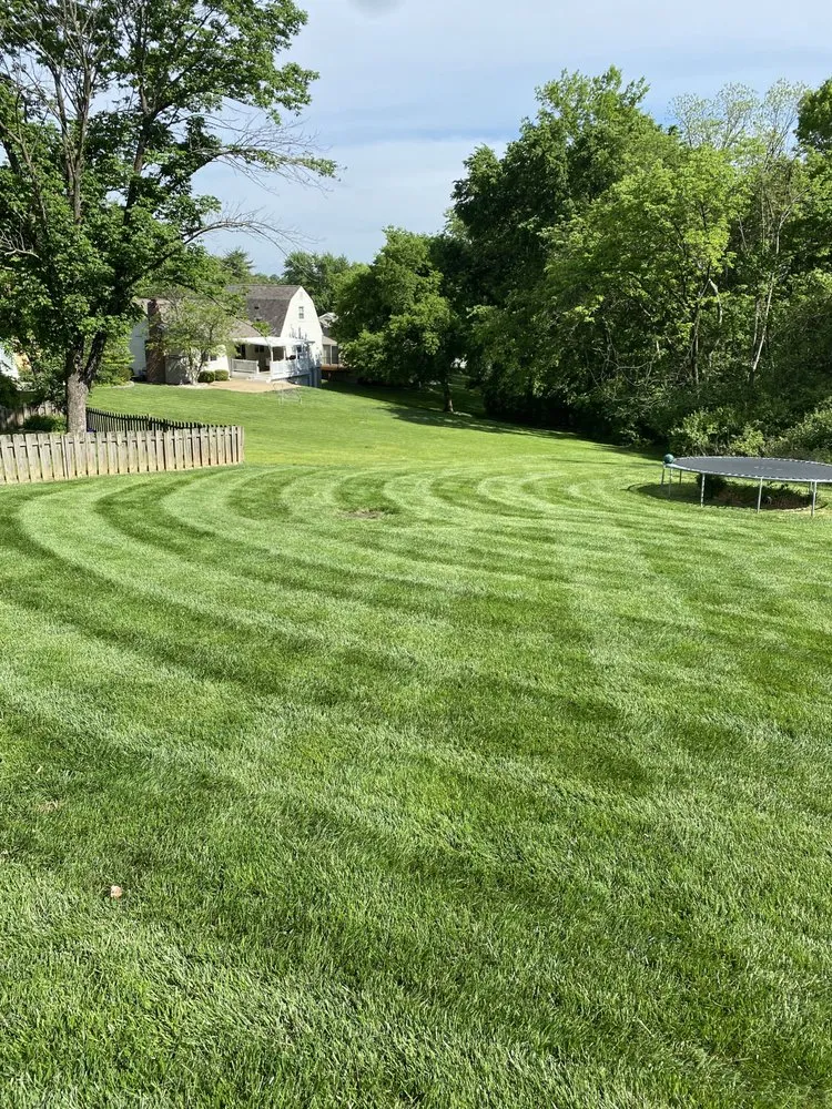 Affordable lawn mowing service experts serving imperial, MO - Lawn Barber STL