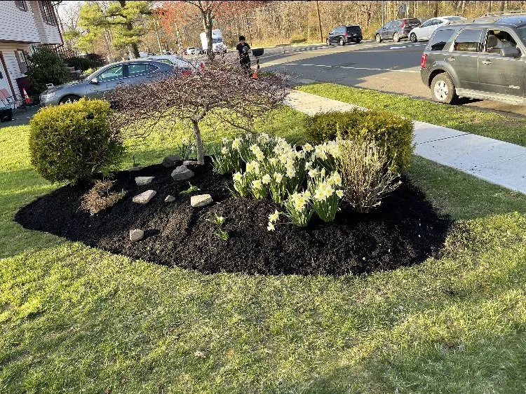 Custom landscape design experts serving Dunellen, NJ - Lawn Barbers