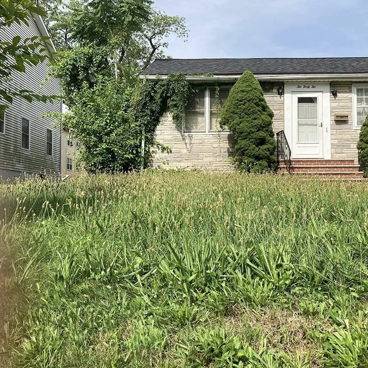 Custom landscaping services for residential properties across Dunellen, NJ - Lawn Barbers