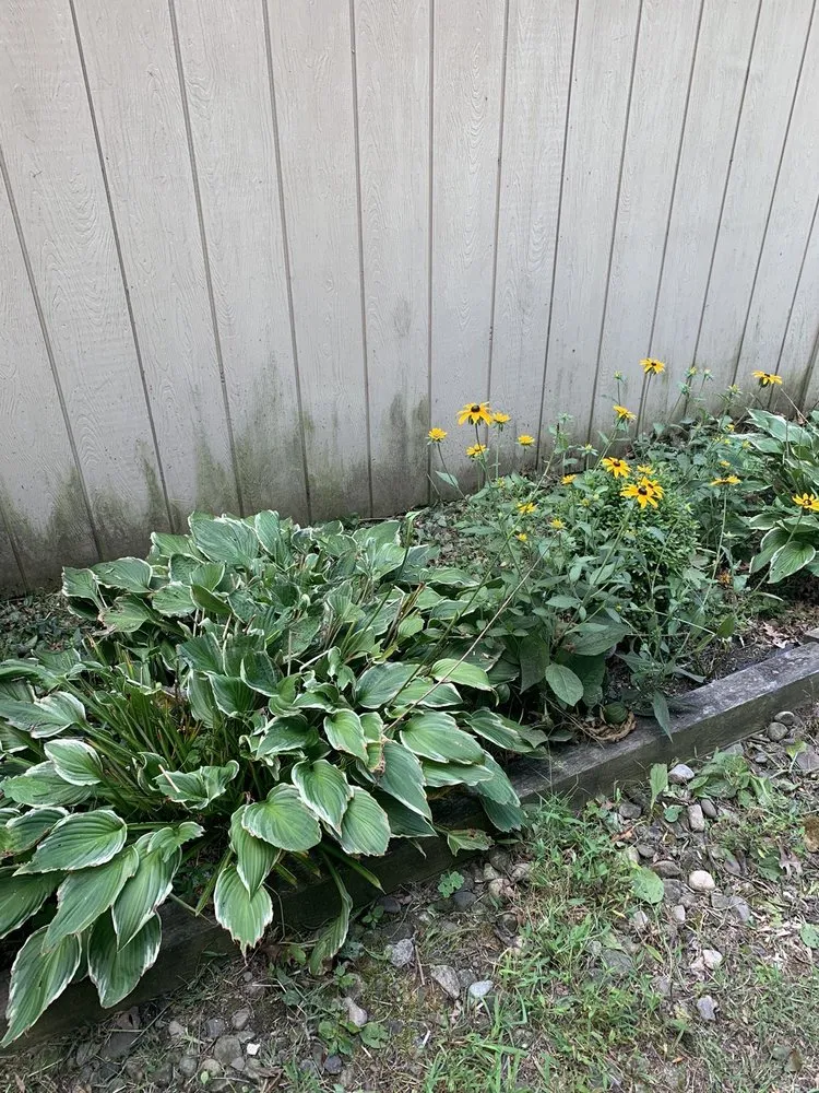 Affordable landscaping services for year-round maintenance across Dunellen, NJ - Lawn Barbers