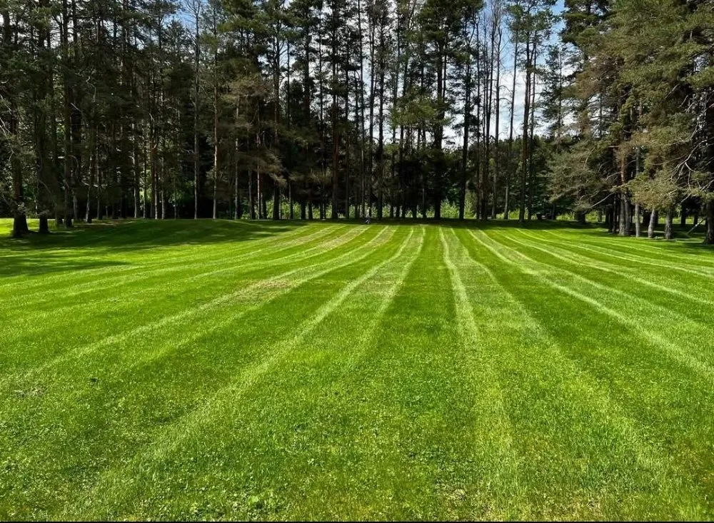 Local yard maintenance experts serving Gouverneur, NY - Lawn Barbers