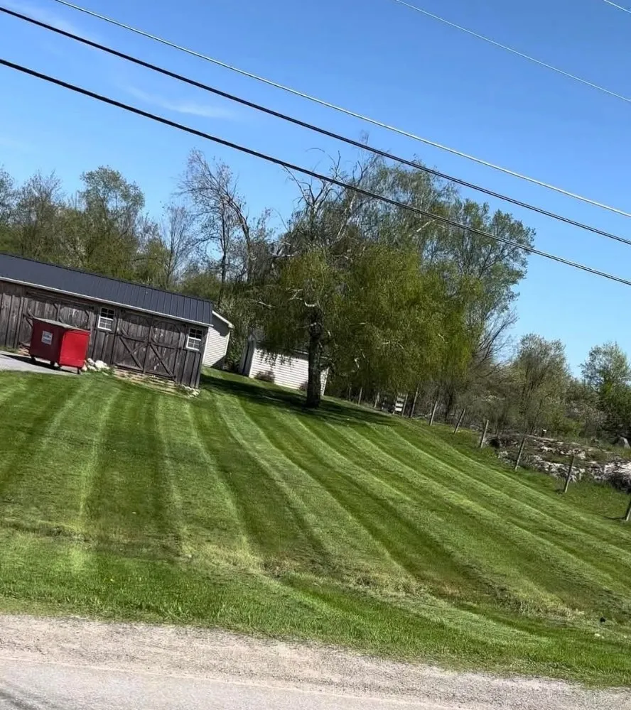 Expert yard cleanup service for outdoor upgrades across Gouverneur, NY - Lawn Barbers