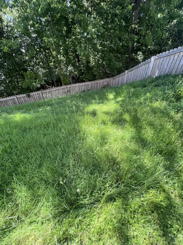 Reliable yard cleanup service in St. Louis, MO by Lawn Barbers Lawn Care