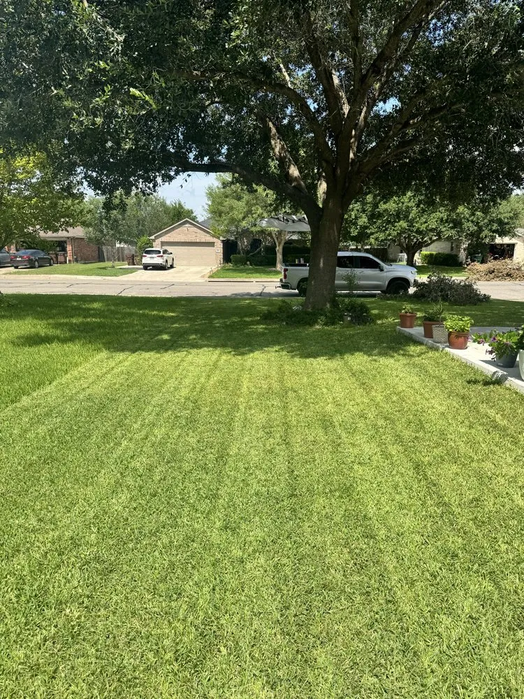 Top-rated lawn care service experts serving Lockhart, TX - Lawn Barbers