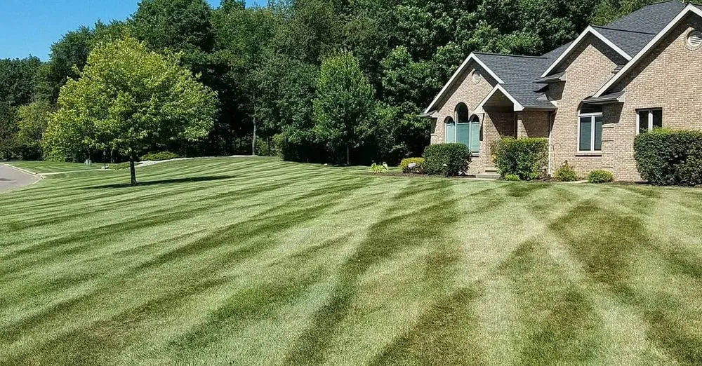 Affordable lawn care service in Lansing, MI by Lawn Barbers of Lansing