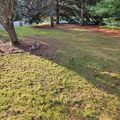 Professional landscaping services in Lansing, MI by Lawn Barbers of Lansing