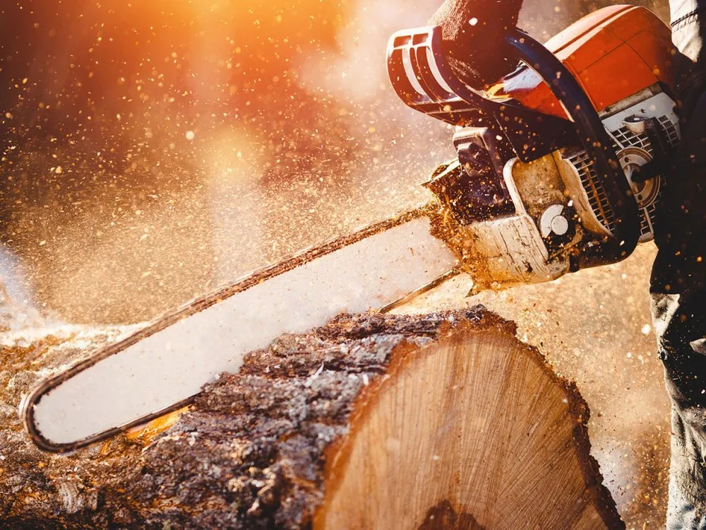 Trusted landscaping services for residential properties in Lansing, MI by Lawn Barbers of Lansing