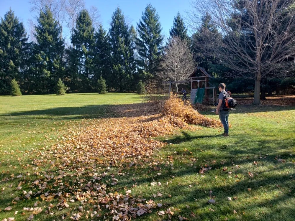 Top-rated landscape installation for outdoor upgrades in Lansing, MI by Lawn Barbers of Lansing